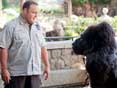 The Zookeeper (2011)