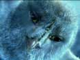 Hollywood Entertainment News: S01E138-Legend Of The Guardians The Owls Of Ga Hoole